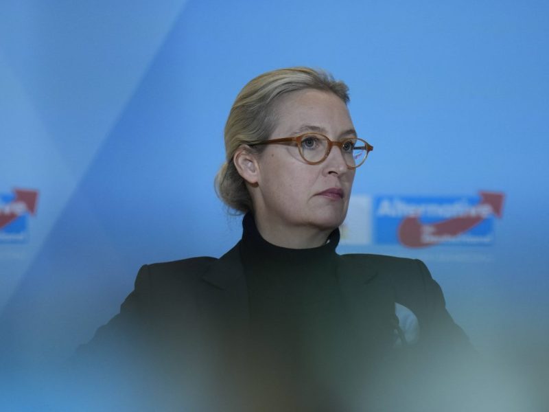 Die AfD setzt auf Alice Weidel, doch die Zahlen und Strukturen innerhalb der Partei könnten zum Problem werden.
