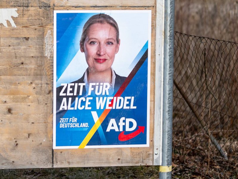 Alice Weidel und ihr Umfrage-Hoch.