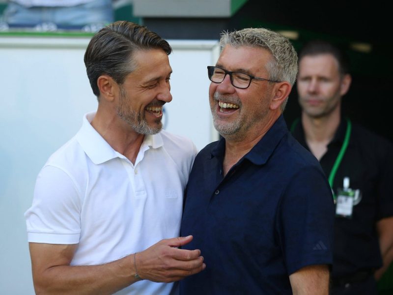 Borussia Dortmund arbeitet mit Hochdruck an einem neuen Cheftrainer. Dabei scheint ein Name immer konkreter zu werden.