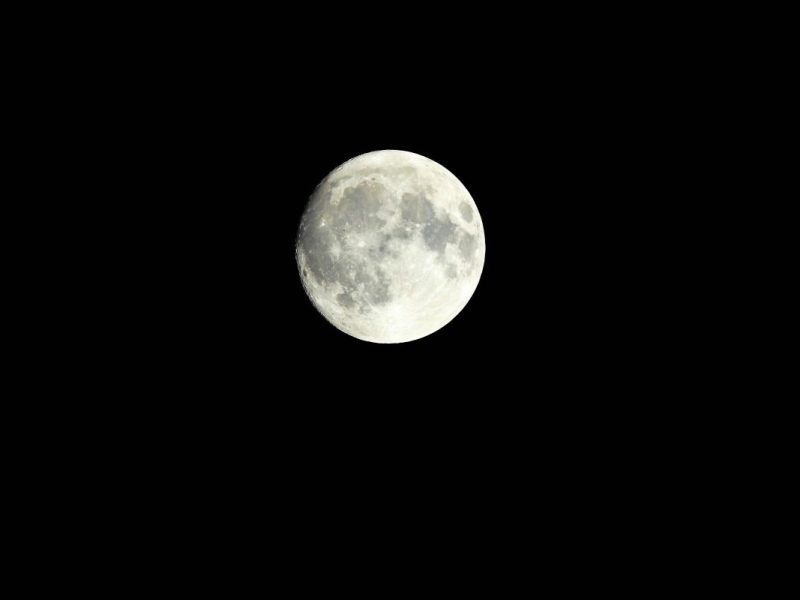 Horoskop: Löwe-Mond lässt keine Wahl – für SIE steht jetzt alles auf dem Spiel