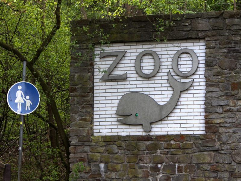 Zoo Duisburg mit schlechten Nachrichten.