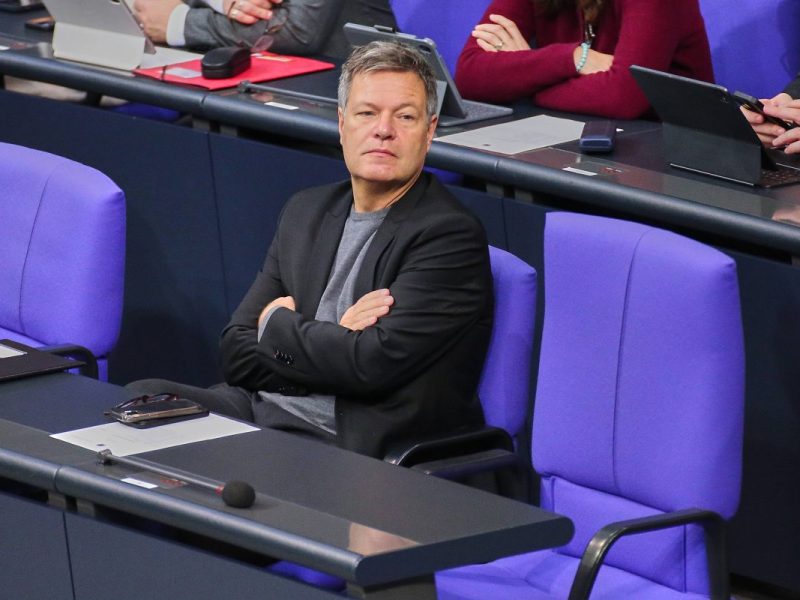 Die Grünen haben eine klare Forderung in der Syrien-Frage.