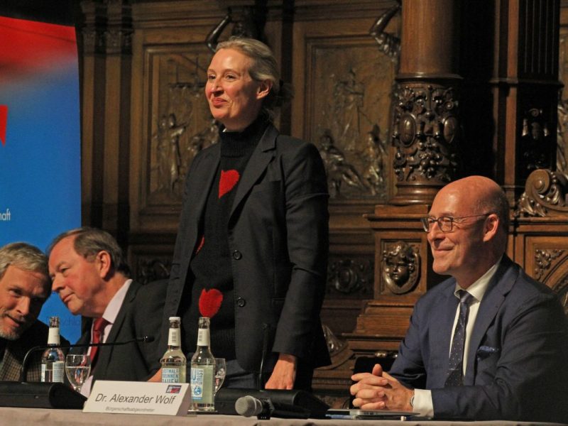 Wegen einer Großspende an die AfD werden Ermittlungen gefordert.