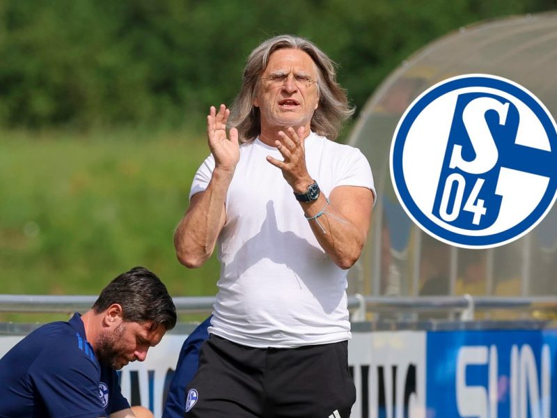 FC Schalke 04: Norbert Elgert