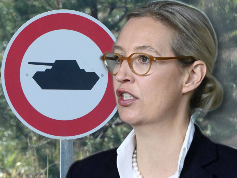 AfD-Chefin Alice Weidel will massiv in die Bundeswehr investieren.