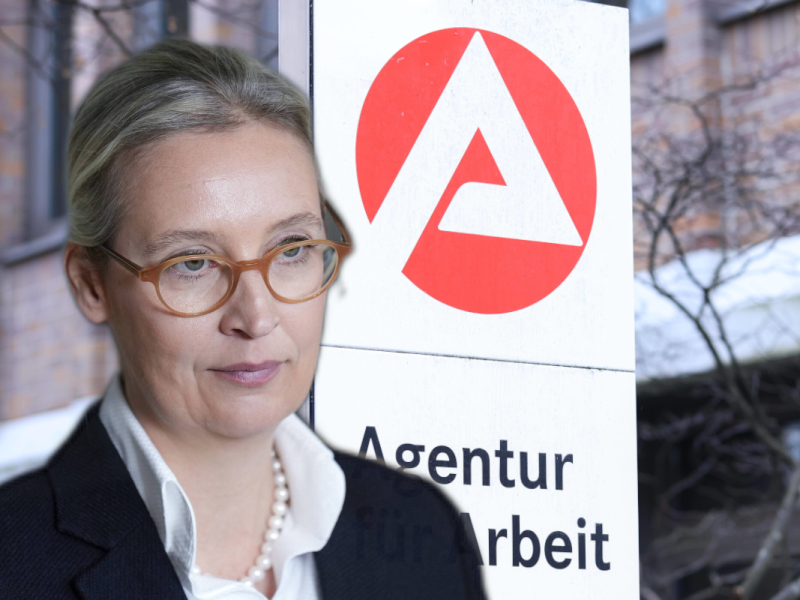 Arbeitslosengeld-Hammer der AfD
